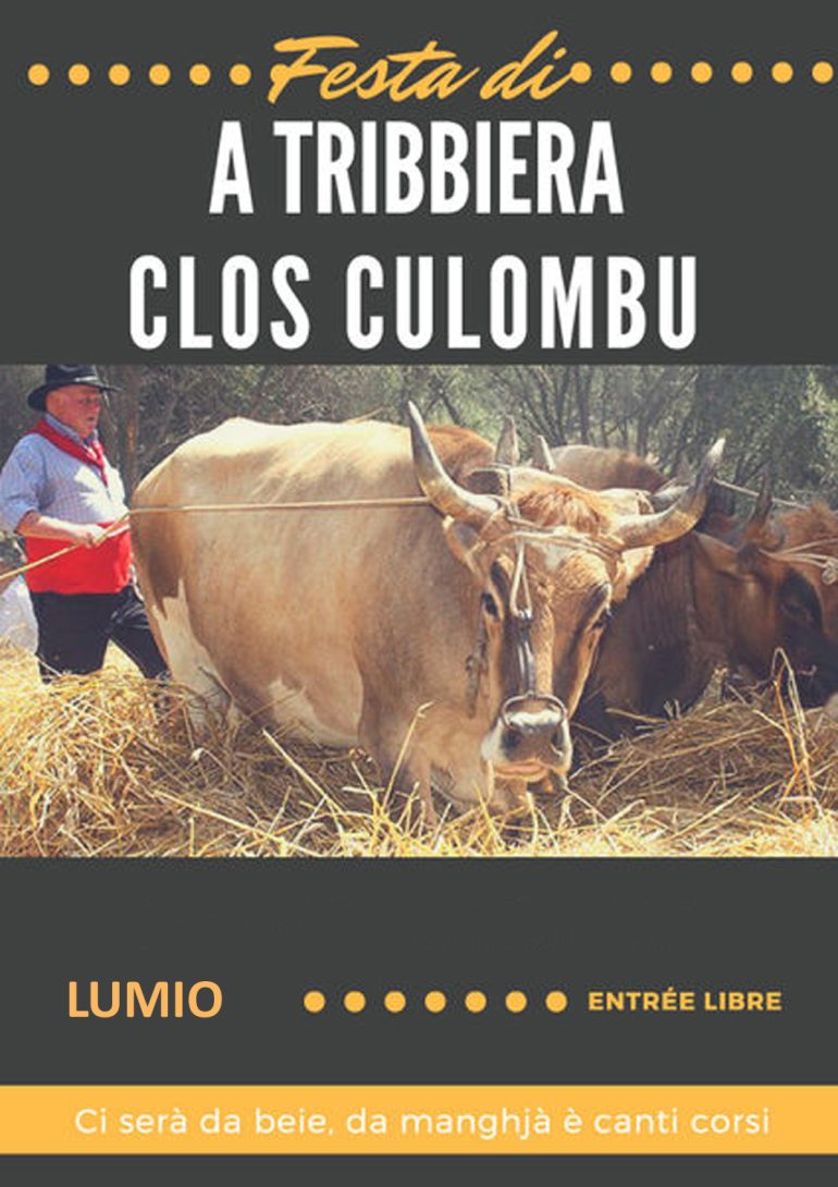 démonstration de battage du blé au Clos Culombu à Lumio